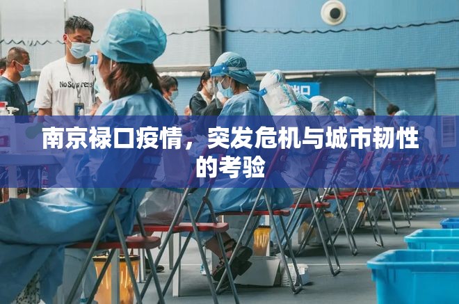 南京禄口疫情,突发危机与城市韧性的考验