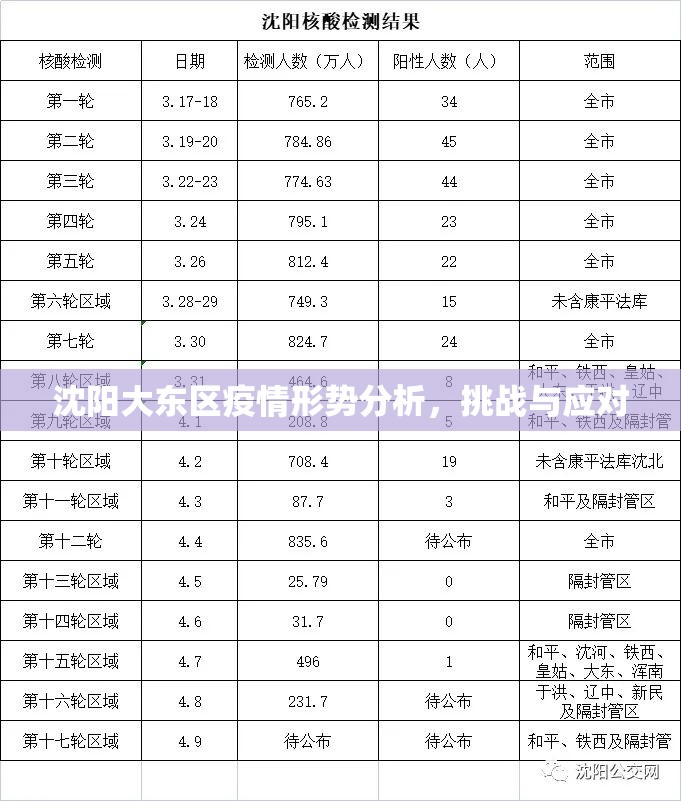 沈阳大东区疫情形势分析,挑战与应对 沈阳大东区疫情形势分析,挑战与应对