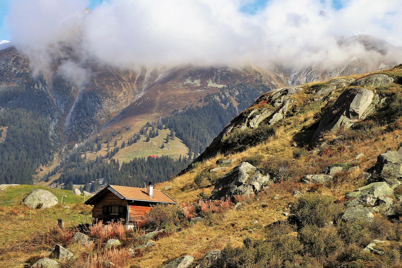 北京疫情昌平病例轨迹/北京昌平 病例 北京疫情昌平病例轨迹/北京昌平 病例
