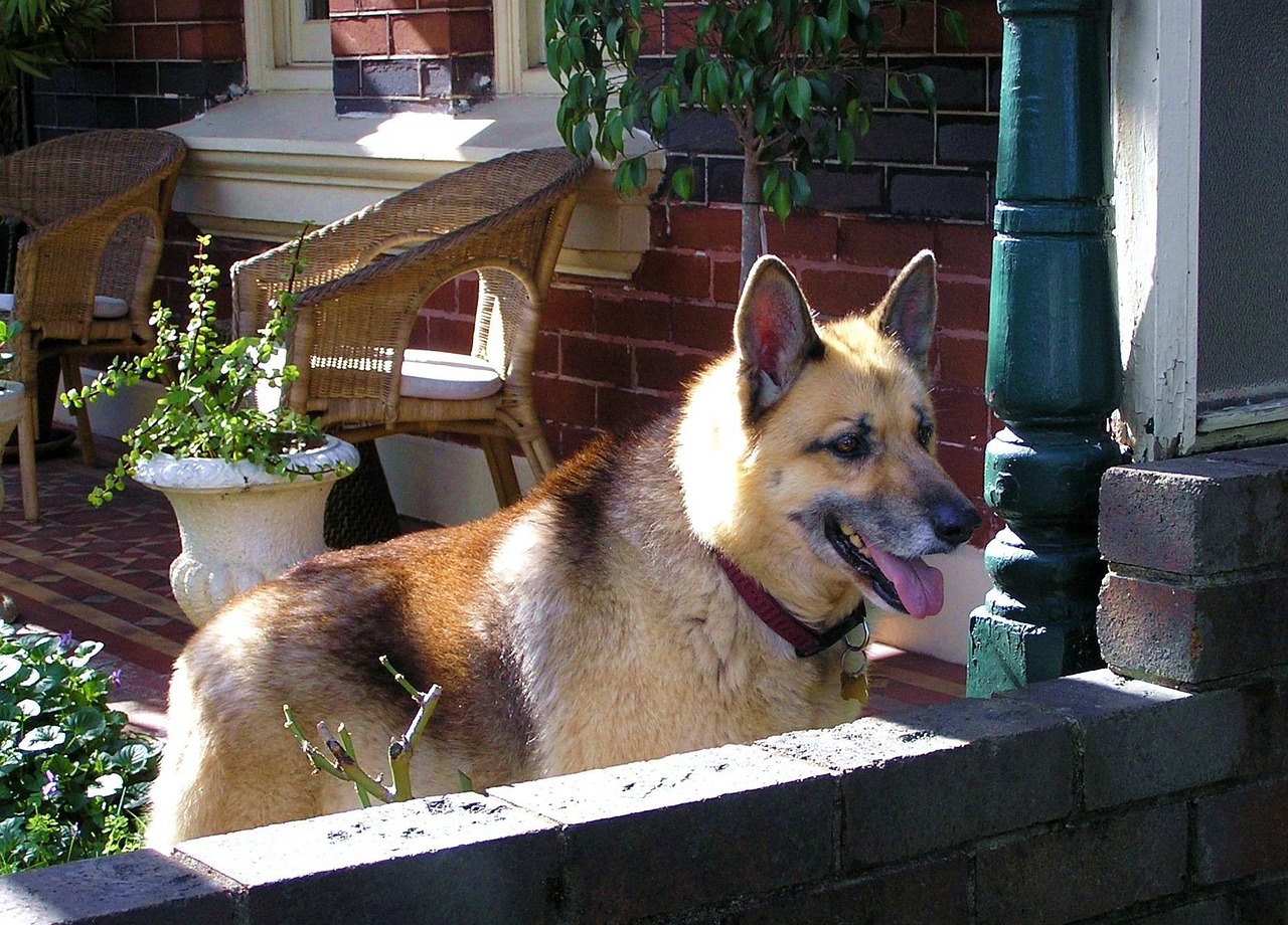 钦州新增疫情病例轨迹:钦州最新新型肺炎 钦州新增疫情病例轨迹:钦州最新新型肺炎