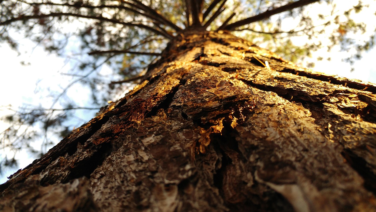 厦门疫情病例轨迹公布:厦门疫情动态记录 厦门疫情病例轨迹公布:厦门疫情动态记录