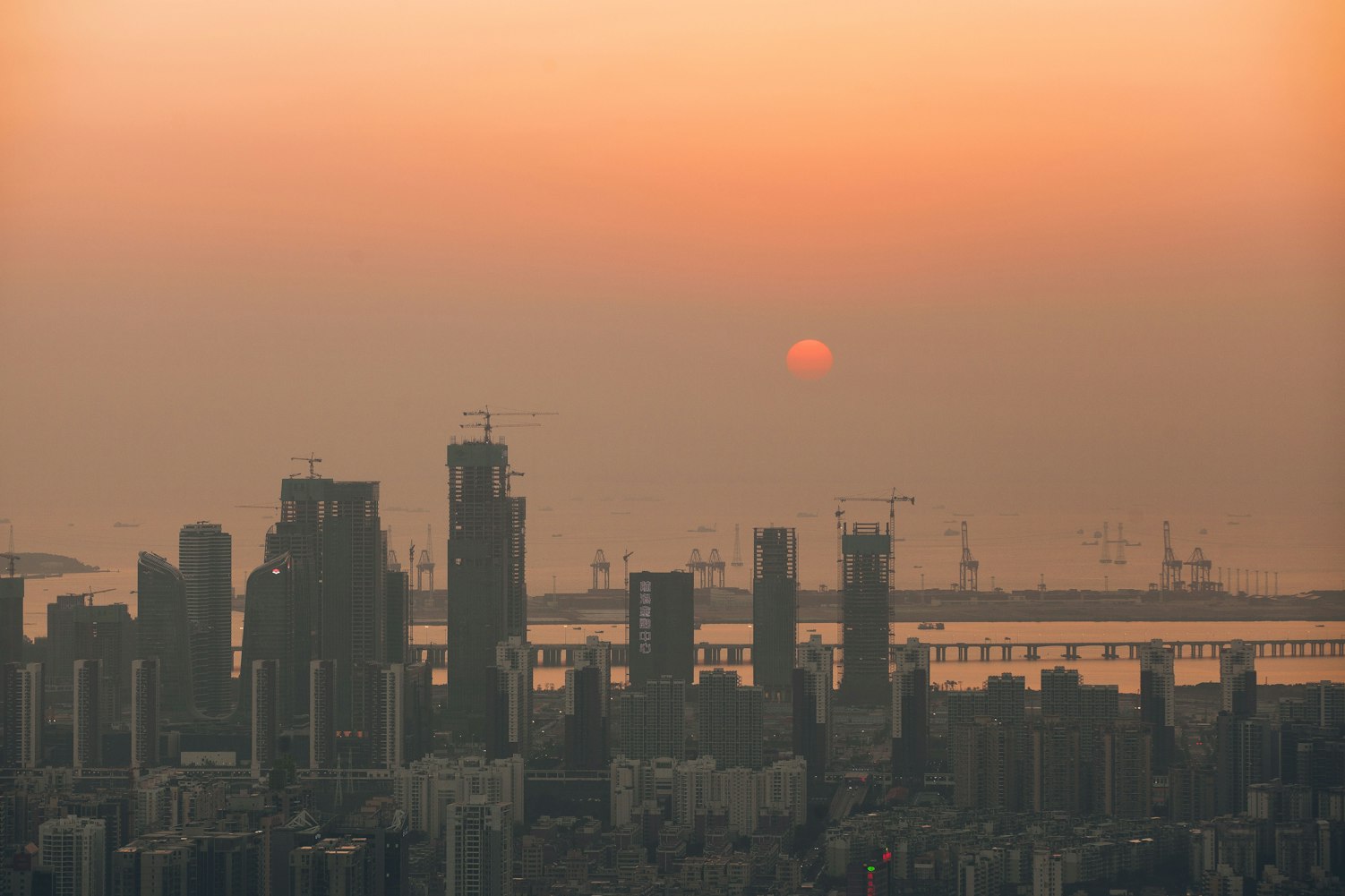 【深圳春天疫情图片最新·深圳春天的天气】 【深圳春天疫情图片最新·深圳春天的天气】
